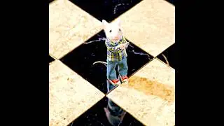 Stuart Little (1999) | A story of courage, love, and belonging.💞🐭 #edit