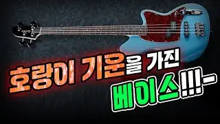 [EP.2] 엑티브 프레시전 베이스기타의 엄청난 기운이!!! | 아이바네즈 TMB100