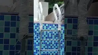Swimming Pool Ladder
