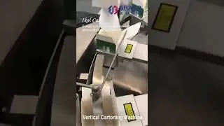 Automatic Vertical Cartoning Machine for Light bulb Box Packing-Grand Machinery-China Manufacturer