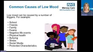 Mental Health Support Team, low mood webinar
