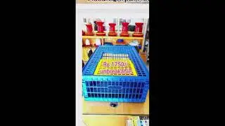 Assam Tirpal House, offers  Poultry Equipment at low cost . contact -9864088786  #poultry #tarpaulin