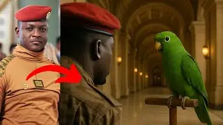 A parrot repeats French phrases &mdash; Traor&eacute; reveals a code of Western spies! Coincidence or miracle?