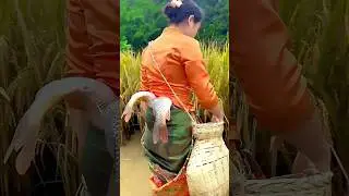 Village Fishing Trap On Girls  #fishing