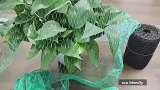Agricultural HDPE Anti-Bird Net for Vegetables Fruit Protection Insect