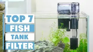 Top 7 Best Fish Tank Filters for Aquariums