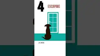 Learn the Symptoms of Your Dog Anxiety