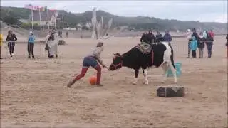 Mammouth vache bretonne pie noir &agrave; Etho-Maha !