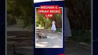 Meghan Markle & Harry exposed by Oprah Winfrey over horror duck story that critics say broke the law