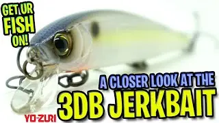 Best Largemouth Bass Fishing Jerkbait?? New Fishing Tackle for 2020.