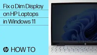 Как исправить тусклый дисплей на ноутбуках HP с Windows 11 | Компьютеры HP | Служба поддержки HP