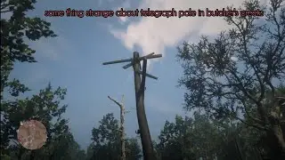 rdr2 spider web mystery. strange sticks on telegraph pole at butcher's creek could be a clue??#rdr2 