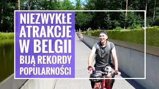 Niezwykłe atrakcje w Belgii - park w Bokrijk i ścieżka w koronach drzew | VLOG Z PODR&Oacute;ŻY