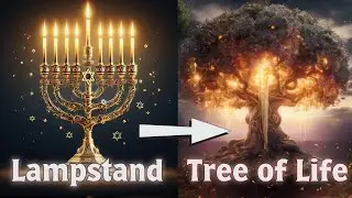 The Golden Lampstand as the Tree of Life (Visual Bible Study - Exodus 25)