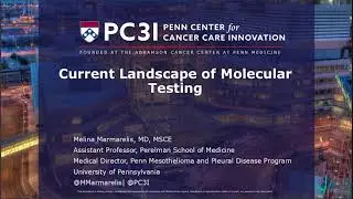 Genomic profile availability impact on NSCLC patient outcomes in real world study and daily practice