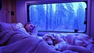 Heavy Rain Sounds for Sleep with Calm Thunder and Dark Night Ambience
