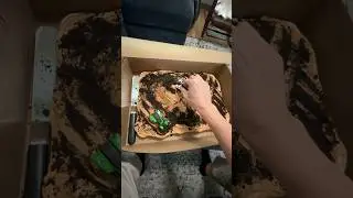10 minute Surprise Birthday Cake
