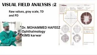 PART 2 : VISUAL FIELD ANALYSIS/ RAW NUMERICAL/GRAY SCALE / TOTAL DEVIATION / PATTERN DEVIATION