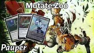 This was the craziest zoo deck I have ever played.
