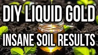 Liquid Gold Fertilizer Make This DIY Fermented Plant Extract & Transform Your Soil FAST!