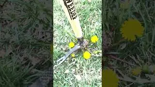 Best Weeding Tool
