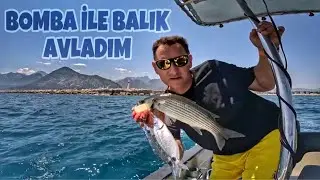 Melanur ve Kefal Yakaladım Pişirdim Yedim!