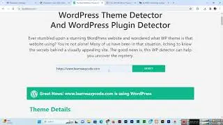 How to Use a WordPress Plugin Detector