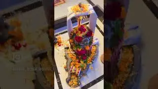 Sri Durga Bhavani Mandir Sultanpur Lodi Pandit Lal Chand Sharma ji