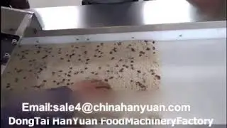 Quinoa Candy Production Line Quinoa Candy Making Machine