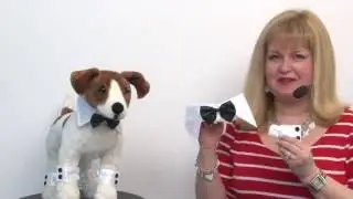 Debonair Dog Bow-tie and Cuff Set