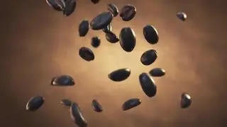 Coffee Beans Slow-Mo Drop Pack Stock Motion Graphics