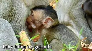 Jane now try hard feeding milk her baby Janna, Janna getting full milk from mom