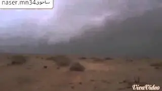شيلة طار الكرى