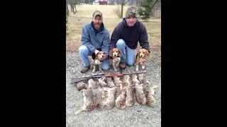 Indiana rabbit hunting 2021