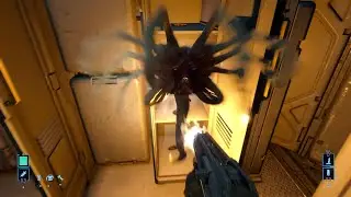 Alien Rogue Incursion Funny moments