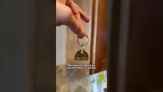 1 Tip to Keep Your Dog SAFE! 👇Follow for more