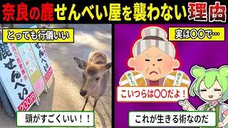 奈良の鹿がせんべい屋を襲わないヤバすぎる理由【ずんだもん＆ゆっくり解説】