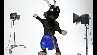 The Bull mascot costume | Mascot custom Anastasia