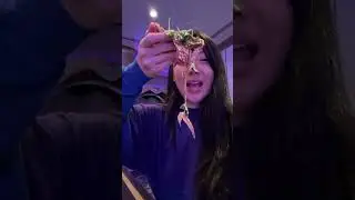 Поздние ужины на борту Disney Destiny!