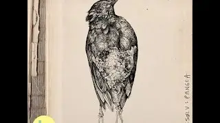 Kråkesølv - Vardøger