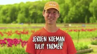 Math Matters Tulip Farm