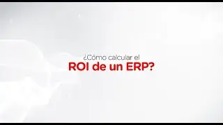 Webinar | &iquest;C&oacute;mo calcular el ROI de un ERP?