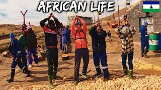 A Day in a Remote African Village 🇱🇸 vA35-S2