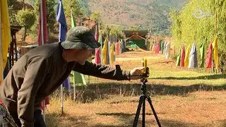 Лучший способ снять стресс, стресс, стресс, стресс РАСПРОДАЖА МАТЕРИАЛОВ