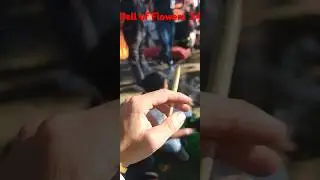 World record amount of joints smoked in one place ! Hall of Flowers 2024 #weed #cannabis #420