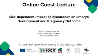 Size-dependent Impact of Hyaluronan on Embryo Development and Pregnancy Outcome