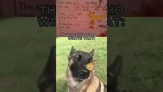 ❤️ #greenscreen #funny #puppy #sad #memes #zdak #dog