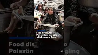 Charity distributed hot meals in Gaza, where crowds of Palestinians struggled to get food