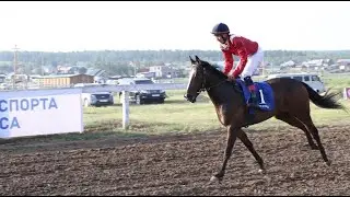 Скаковой день 16 июля. Дистанция 800 м. Верба