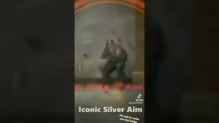 Iconic Silver Aim